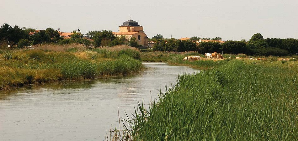 Saint-Vincent-sur-Jard : une commune vendéenne propice aux séjours de villégiature