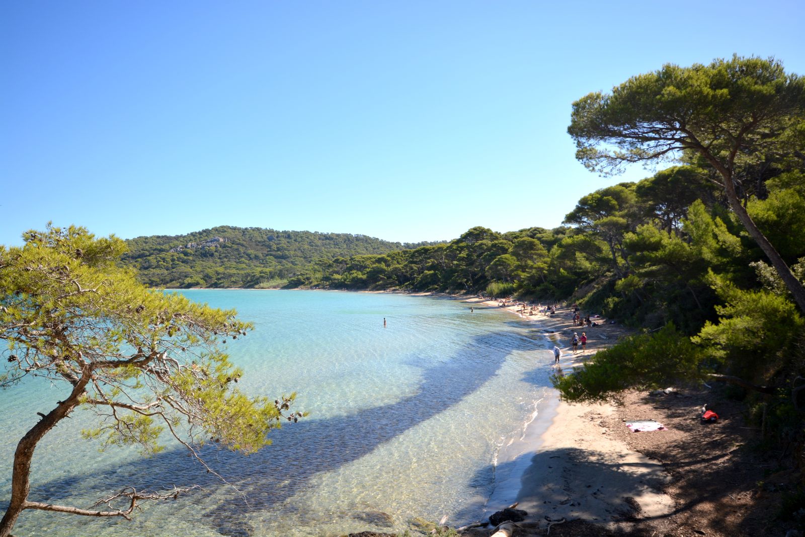 Que faire de beau à Porquerolles ces vacances ?