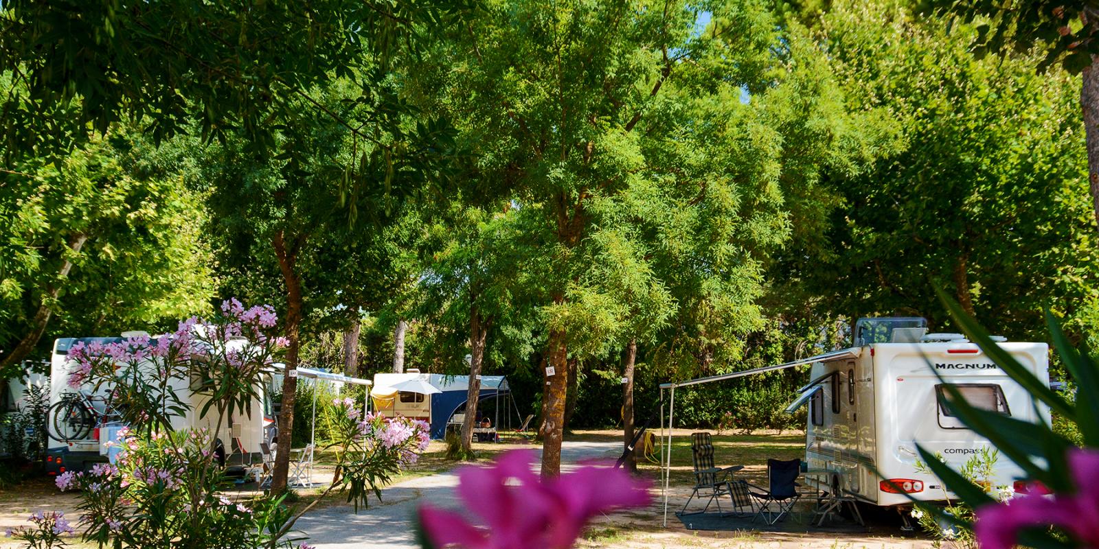 Et si vous réserviez un séjour caravaning dans le Var